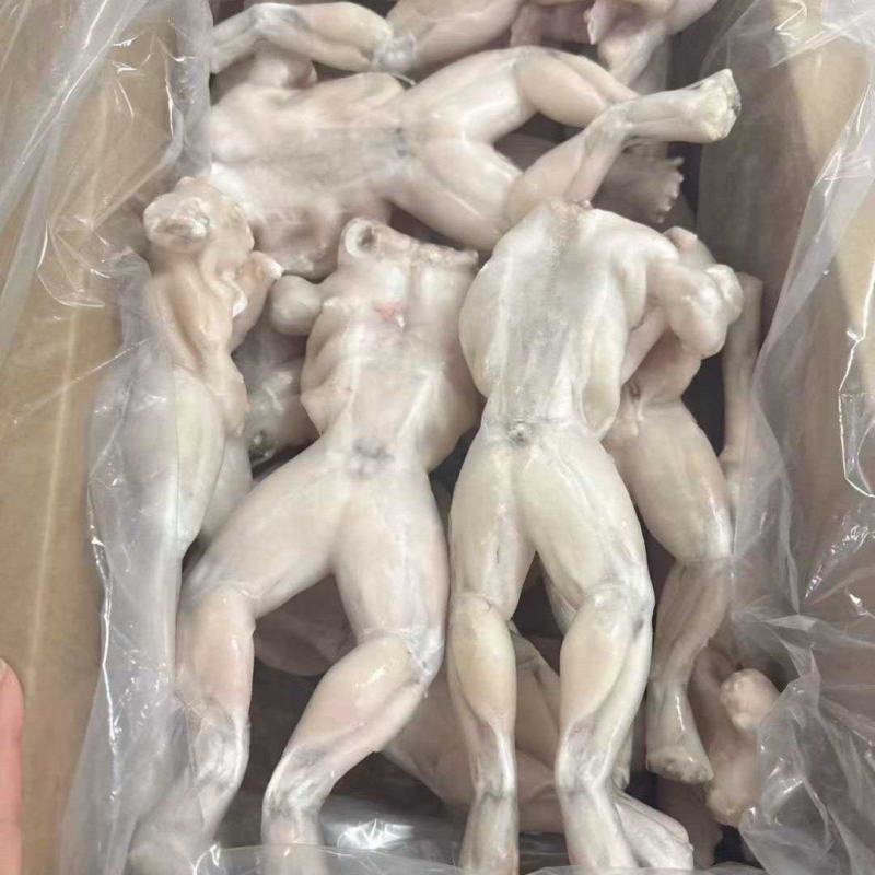 牛蛙