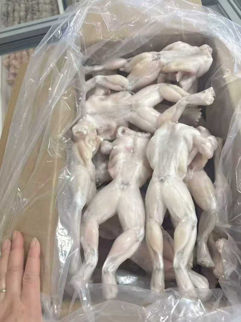 牛蛙