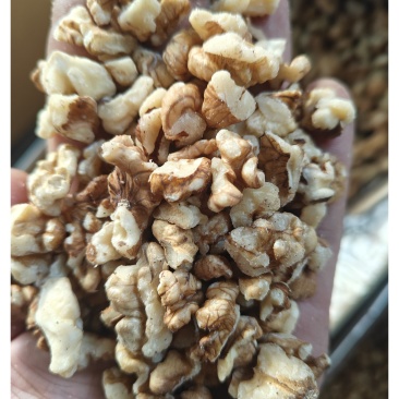 北方核桃仁无杂质质量保证对接全国按需求发货