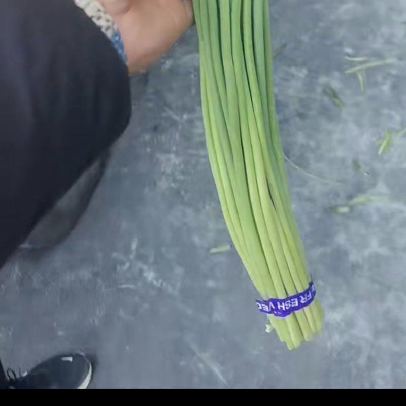 蒜薹