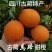 古蔺马蹄甜橙，产地直发，一手货源，大量供应