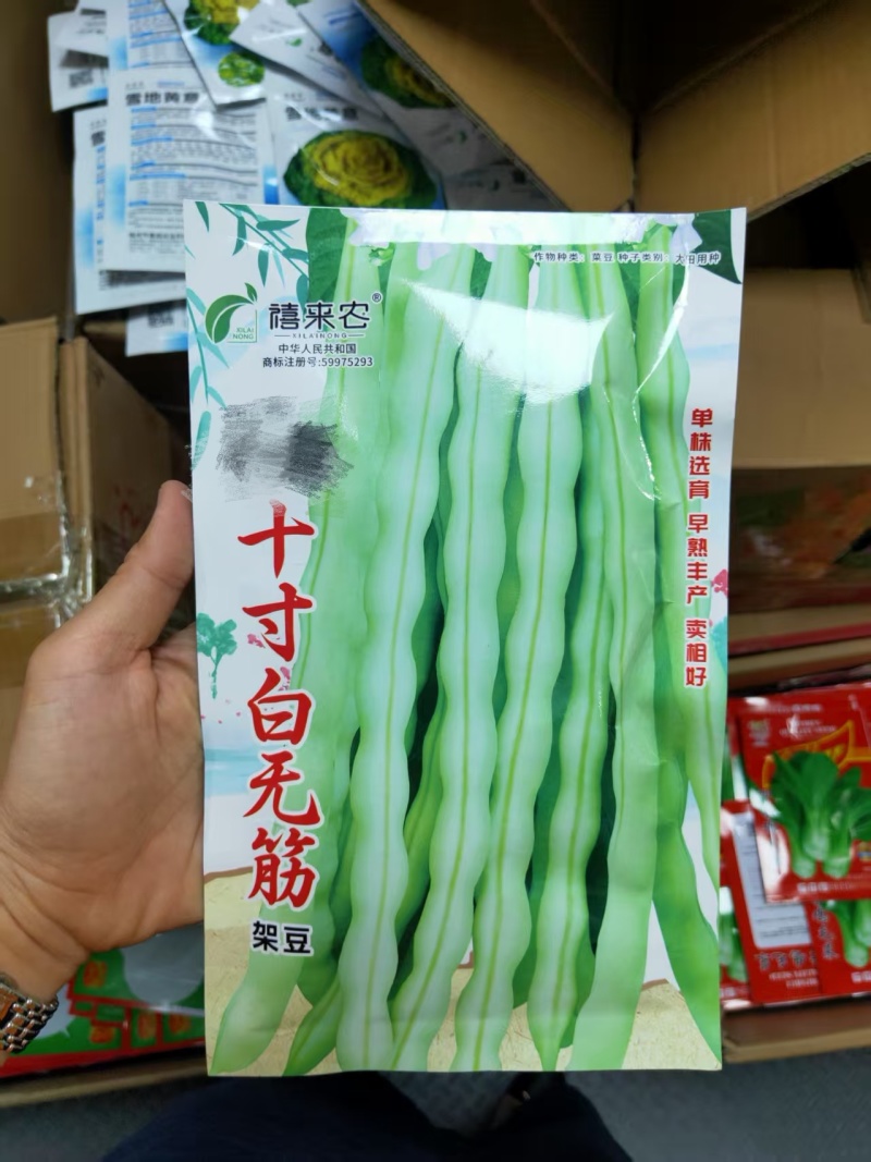 十寸白无筋架豆种子早熟蔓生嫩荚白绿色春秋露地大棚均可种植