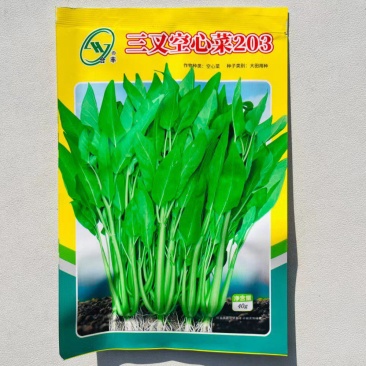 三叉空心菜种子通心菜种籽四季翠绿大叶青菜籽种蔬菜种子