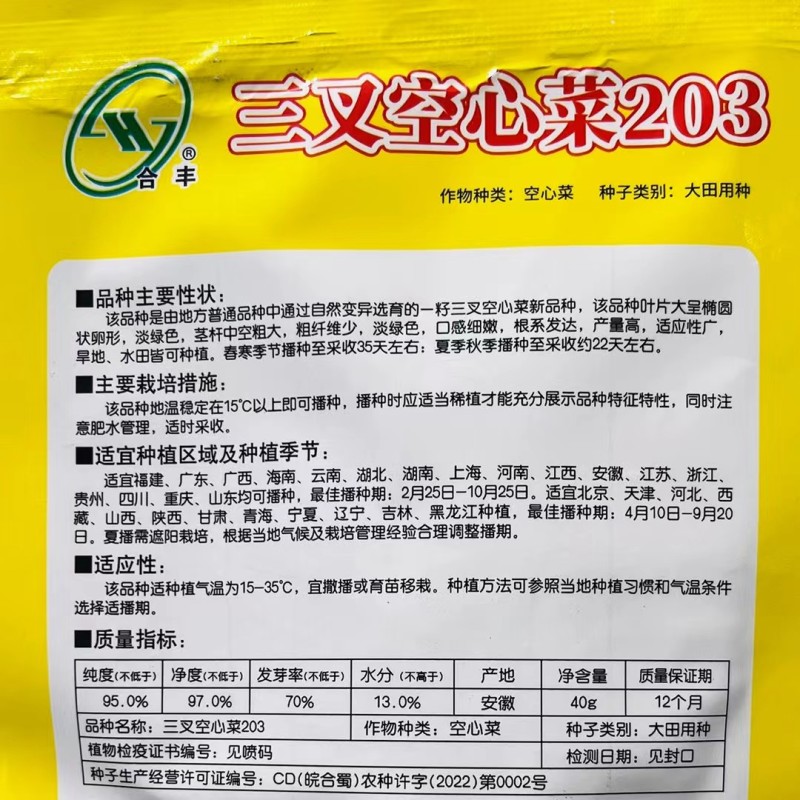 三叉空心菜种子通心菜种籽四季翠绿大叶青菜籽种蔬菜种子