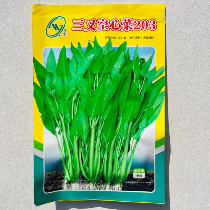 三叉空心菜种子通心菜种籽四季翠绿大叶青菜籽种蔬菜种子