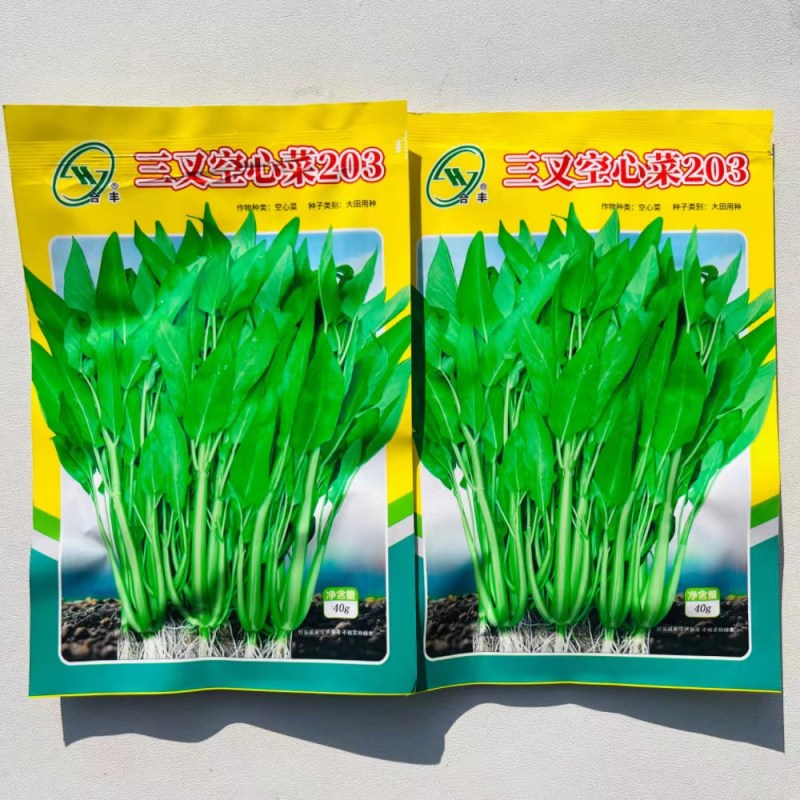三叉空心菜种子通心菜种籽四季翠绿大叶青菜籽种蔬菜种子