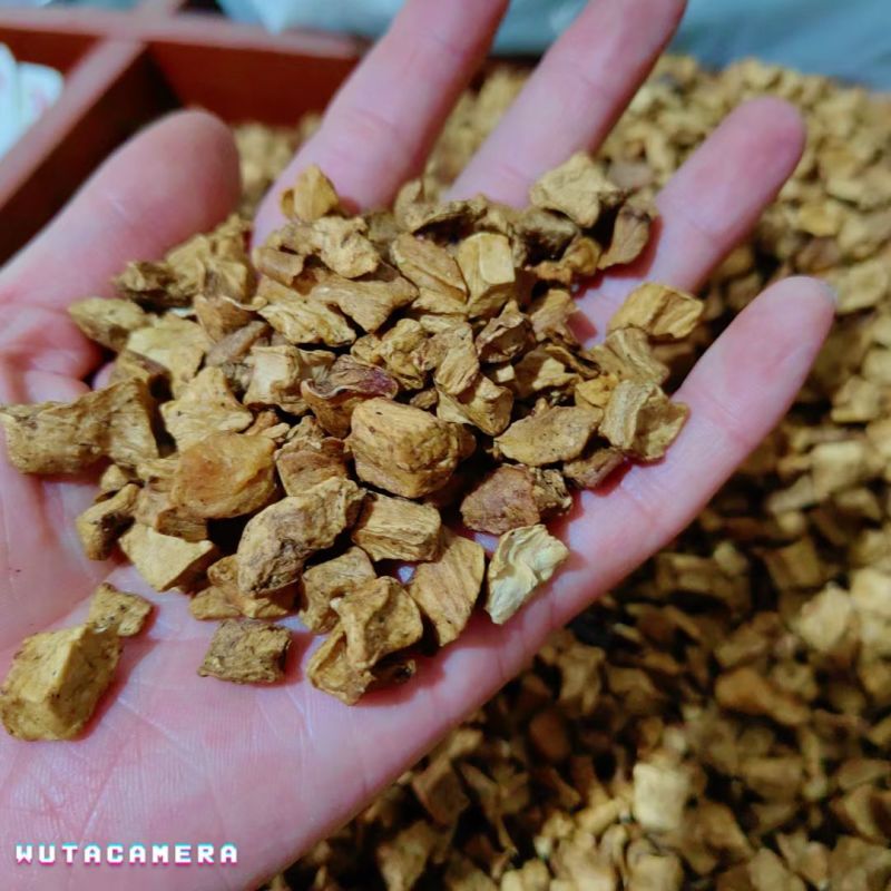 菊苣菊苣根统货产地新疆地道药材紫轩堂药业
