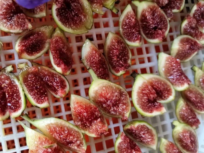 威海青皮无花果干基地直发品质保证量大从优欢迎来电