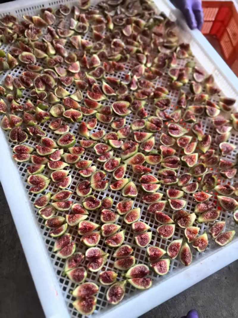 威海青皮无花果干基地直发品质保证量大从优欢迎来电