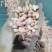 花生米精品花豫25规格齐全机器加人工筛选产地直发