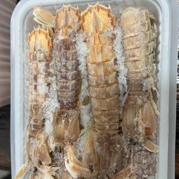 皮皮虾