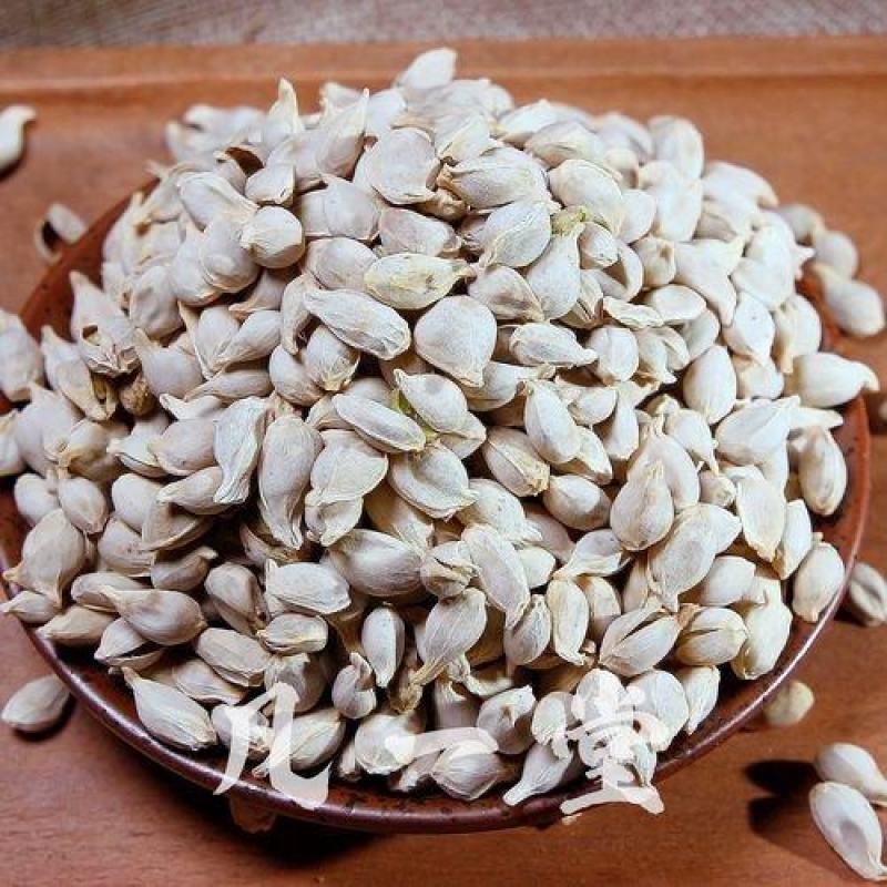 中药材橘核