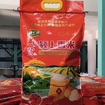 当季新米10千克长粒香米