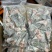 脆肉皖鱼腩鱼尾10公斤