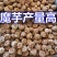 魔芋种子/自然黄/自然紫/自然红/三种规格都有