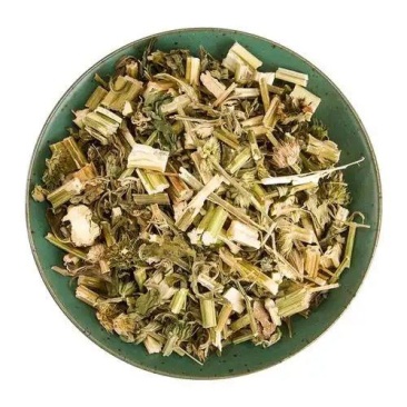 中药材草药，益母草