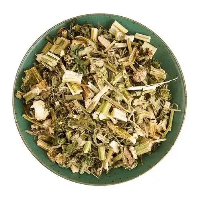 中药材草药，益母草