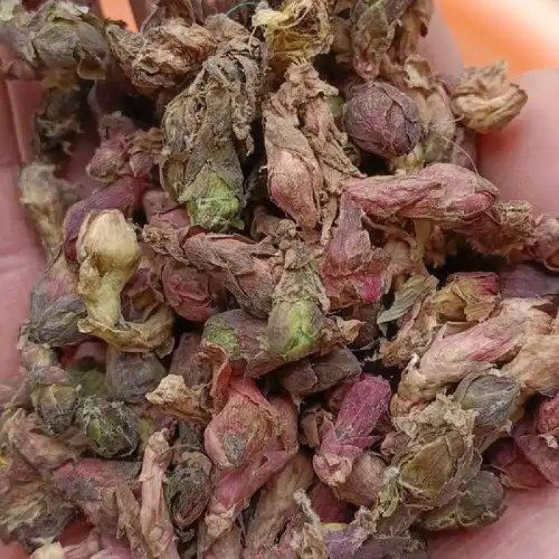 款冬花中药材