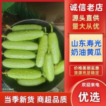 寿光奶油白玉黄瓜酥脆清甜产地直发质量保证欢迎来电