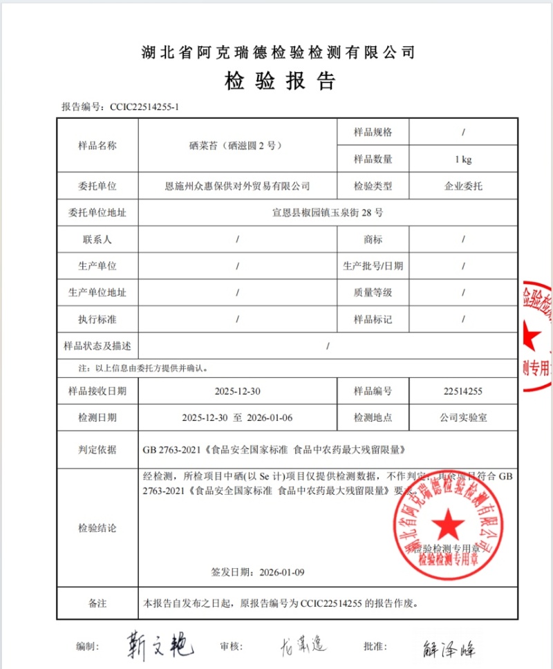 菜苔硒菜苔富硒菜苔现摘现发产地直供一手货源欢迎来电