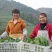 菜苔硒菜苔富硒菜苔现摘现发产地直供一手货源欢迎来电