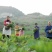 菜苔硒菜苔富硒菜苔现摘现发产地直供一手货源欢迎来电