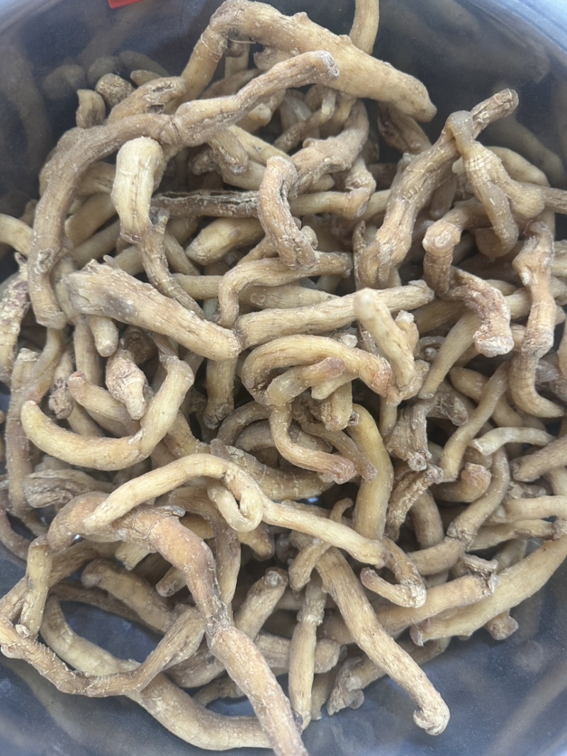 玉竹