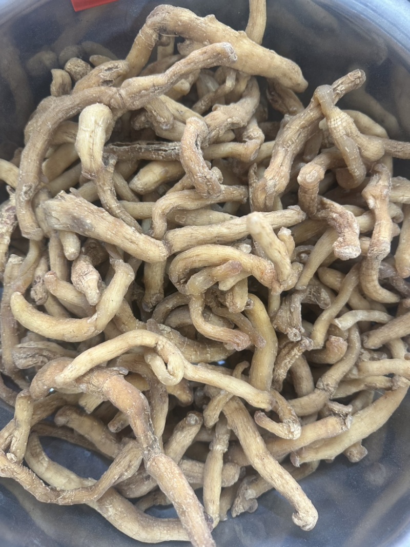 玉竹
