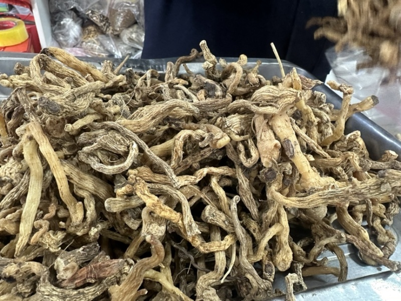 玉竹