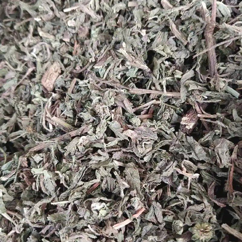 中药材草药旱莲草