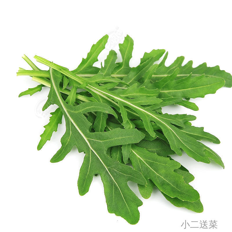 云南野菜芝麻菜