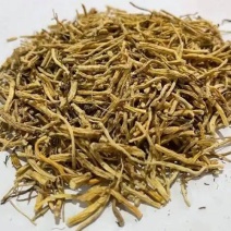 中药材龙胆草