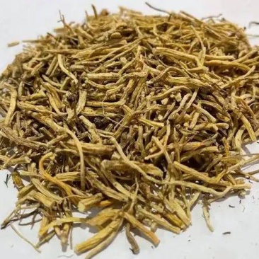 中药材龙胆草
