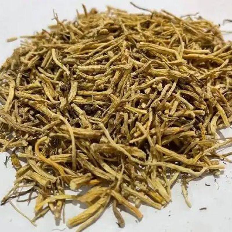 中药材龙胆草