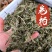 中药材卷柏