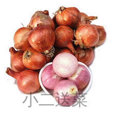 云南野菜毛葱头