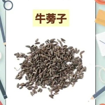 中药材籽药，牛蒡子