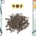 中药材籽药，牛蒡子