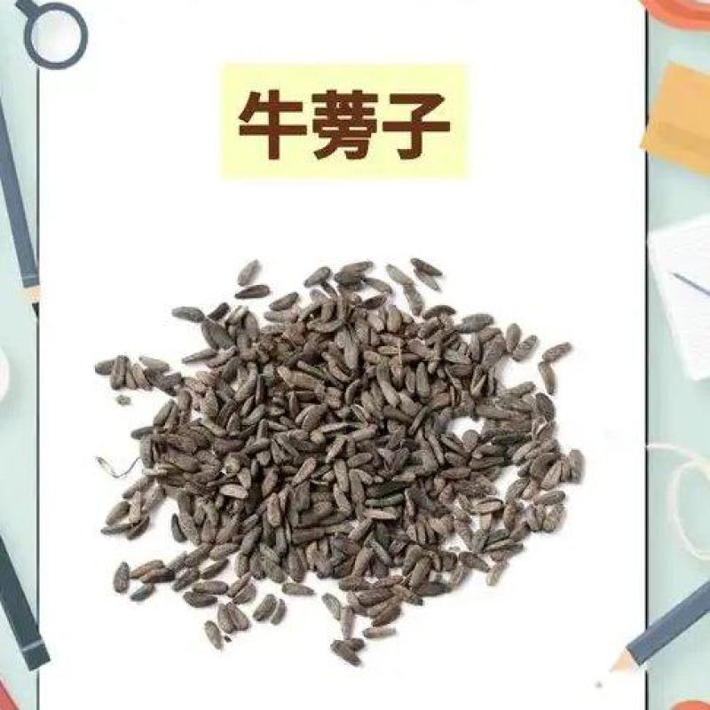 中药材籽药，牛蒡子