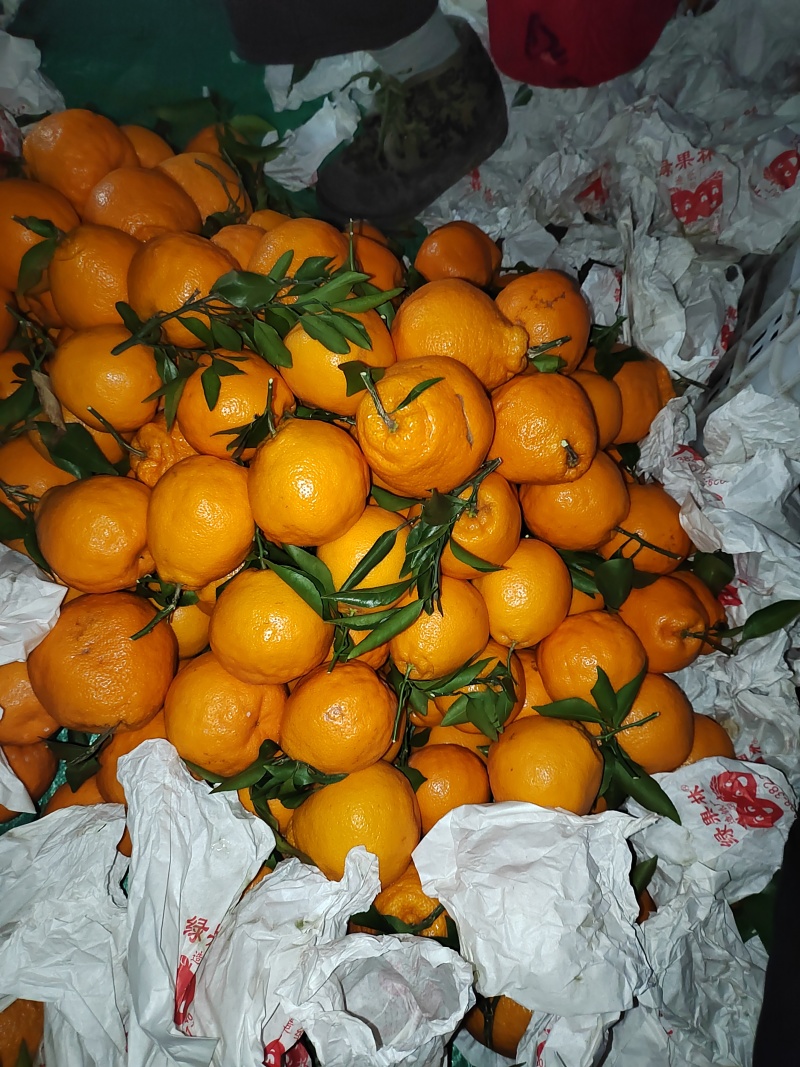 四川耙耙柑，皮薄多汁，纯甜无酸，细腻化渣。