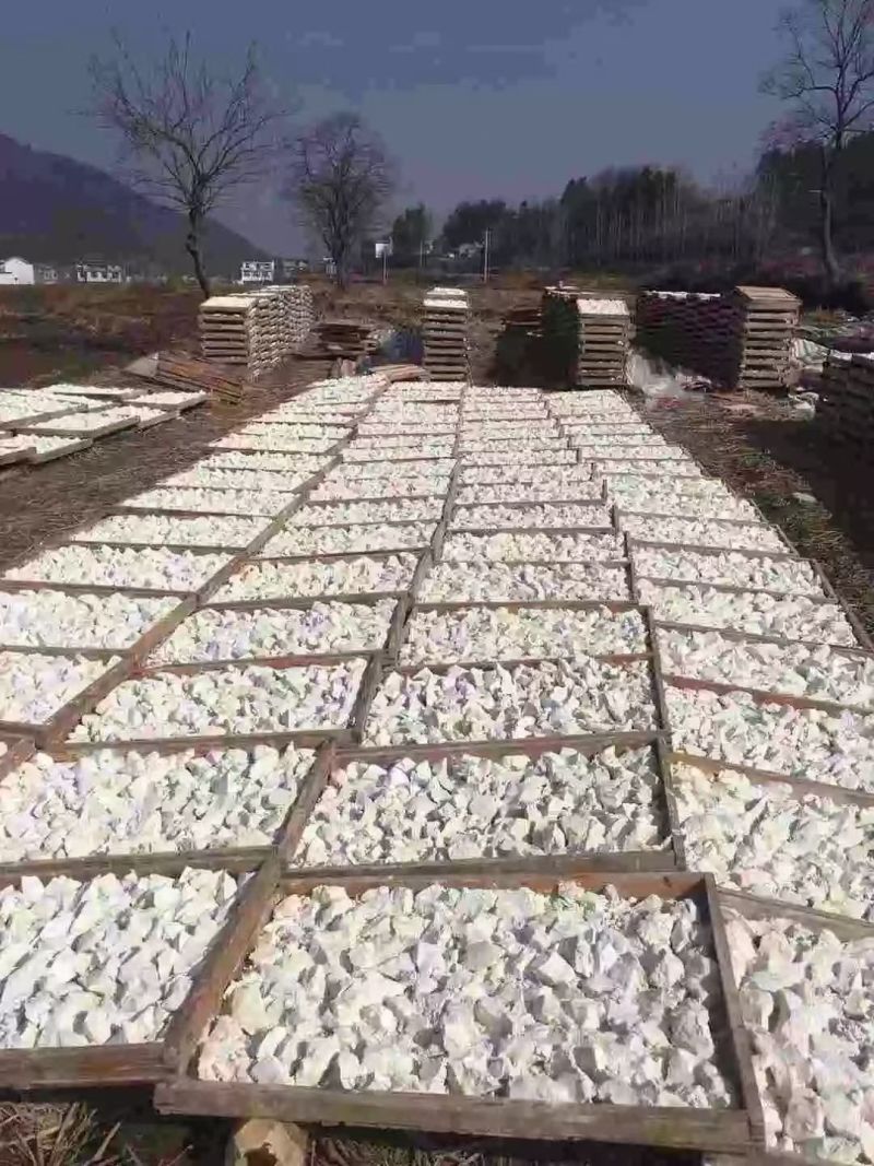 稀有葛根正宗精品货源充足品质保证