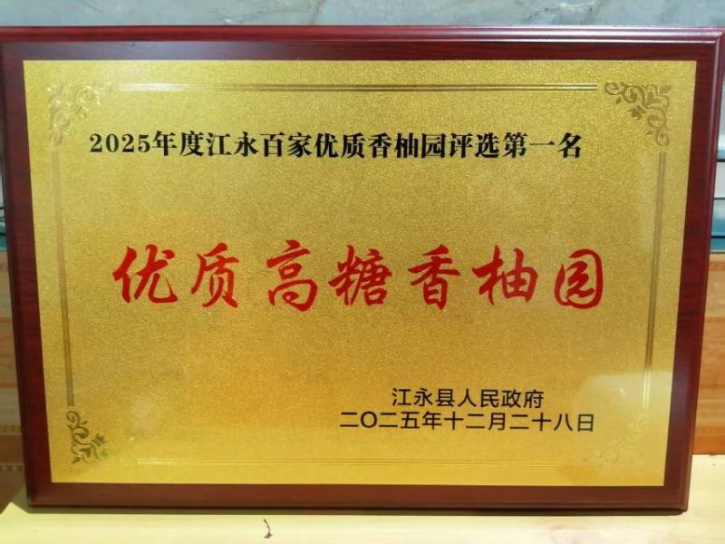 湖南江永高山四十多年的老树沙田柚简称（香柚），软糯香甜。