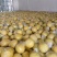 湖南江永老香柚，柚香柚甜，甜而无酸。