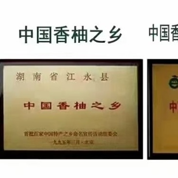 江永老树柚子，皮薄水份足，农户家一手货源看货直接农户对接