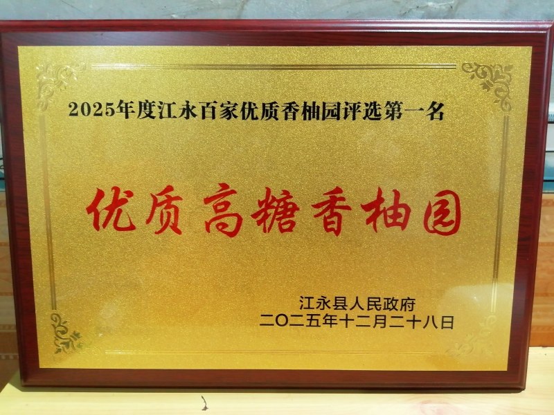 江永老树柚子，皮薄水份足，农户家一手货源看货直接农户对接