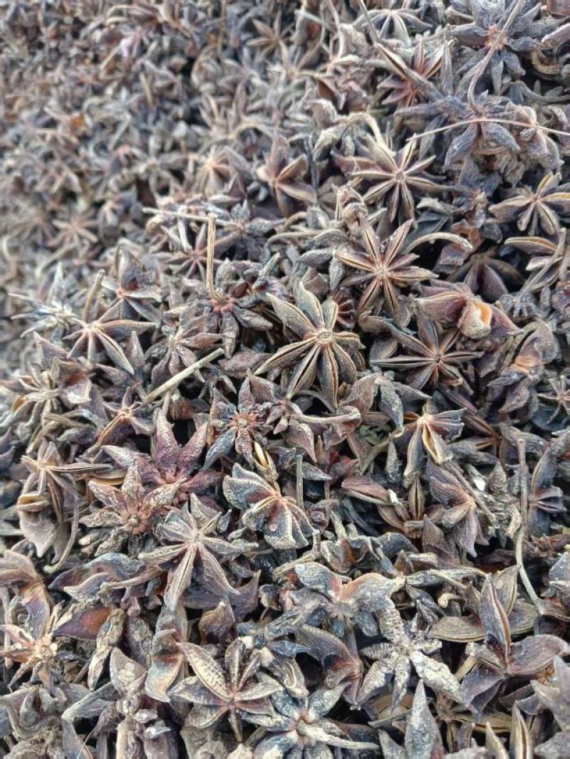 商用干枝八角为大客户大加工厂量身打造八角原材料干度好