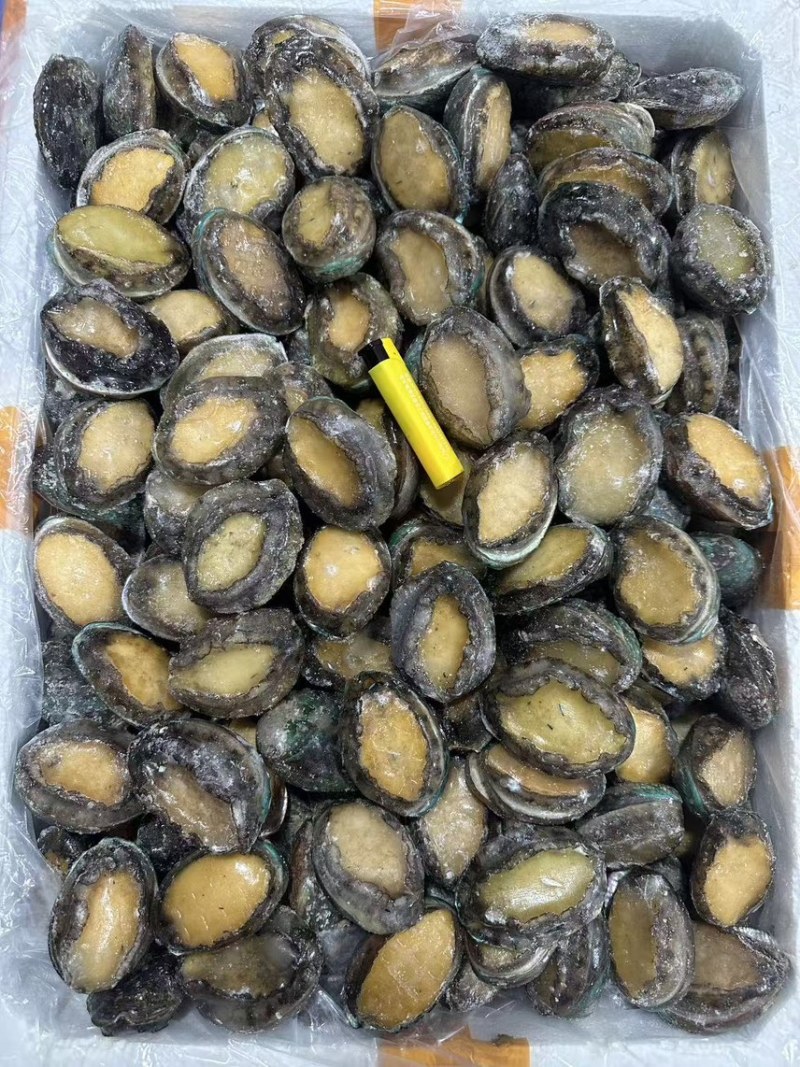 鲜冻鲍一手货源4-18头利薄多销理念邀您携手供赢