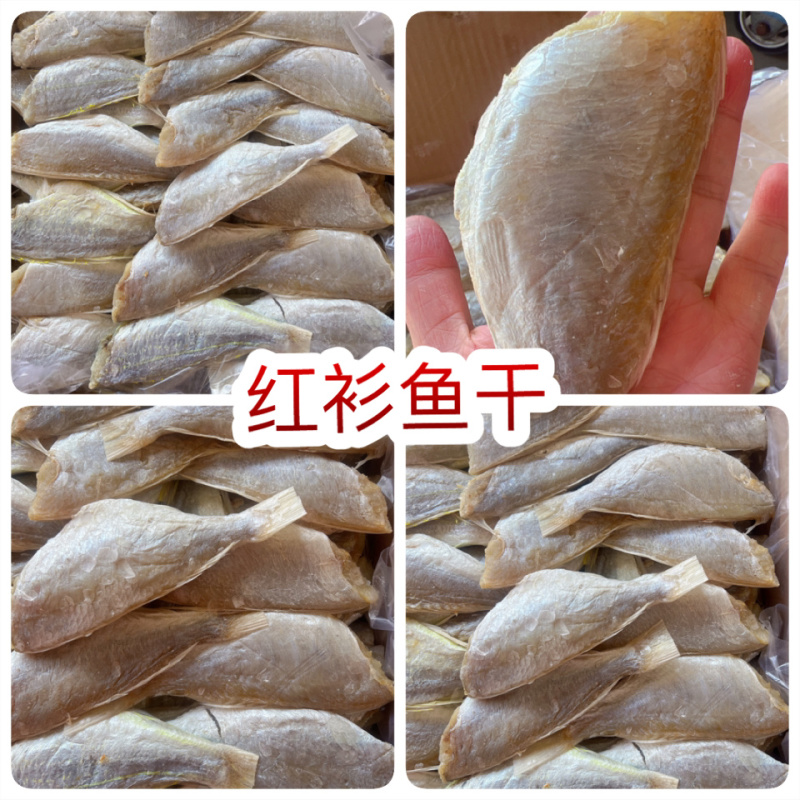 红衫鱼干地摊电商批发红衫鱼干红杉鱼干红三鱼干金线鱼干干鱼