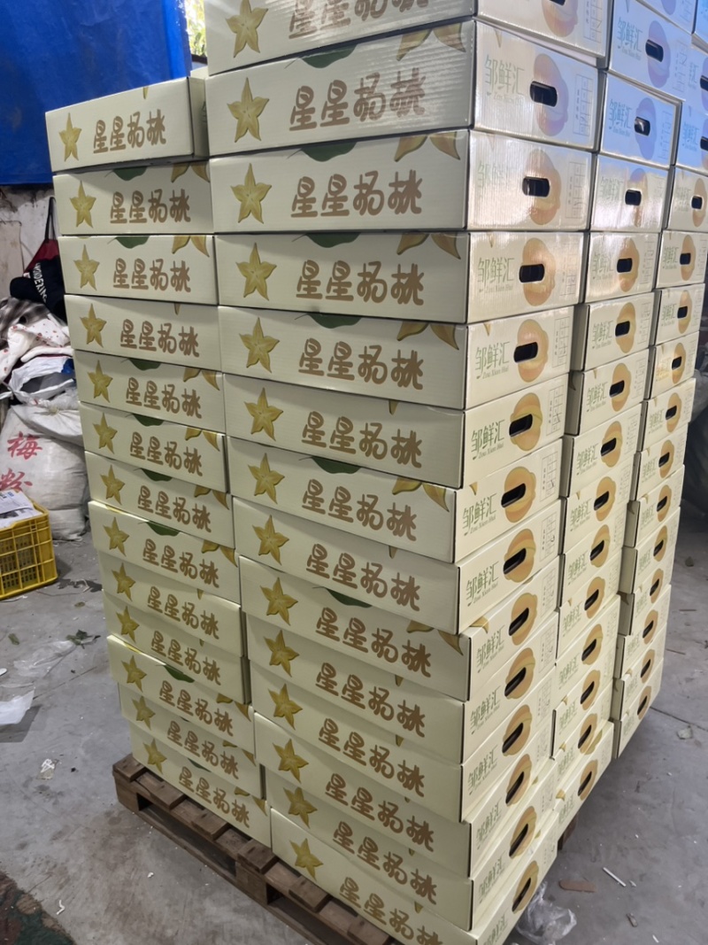 【实力推荐】精品杨桃货源充足全国发货量大从优致电联系