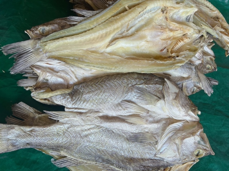 开边海鲈鱼干地摊电商批发超大鲈鱼干干鲈鱼鱼干干鱼鲈鱼片